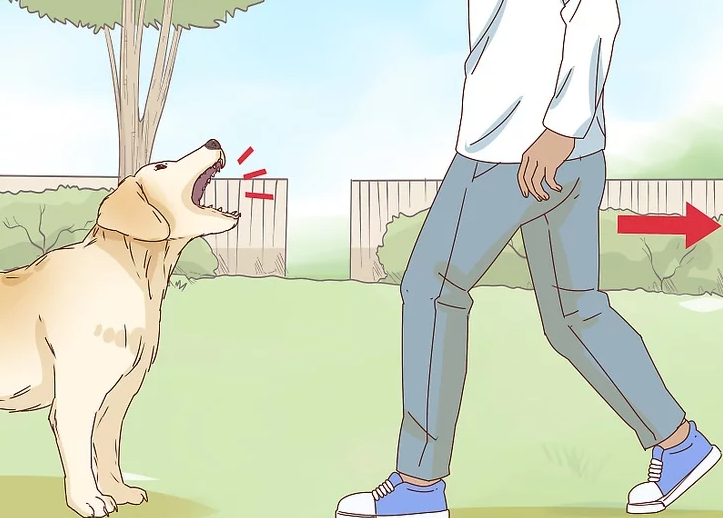 How to pet your dog (with pictures)